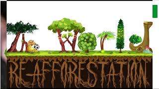 What is reforestation🌴🌍🌳The idea of Replanting trees in deforested areas🌴🌍🌳 [upl. by Tripp]