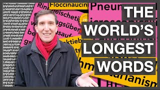 The Worlds Longest Words English amp Beyond [upl. by Sonaj]