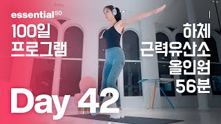 하체  근력 유산소 다이어트 운동  100일 홈트 프로그램  Day 42 [upl. by Othilie]