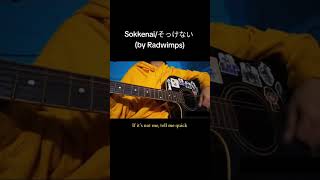 sokkenaiそっけない by radwimps short cover 歌ってみた cover radwimps そっけない sokkenai acousticcover [upl. by Glaudia649]