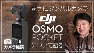 ジンバルカメラ登場！話題のDJI Osmo Pocketについて語りたい！ [upl. by Hills465]