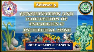 Science 5 Conservation and Protection in Estuaries and Intertidal Zone  Quarter 2  week 8 [upl. by Nerraw930]