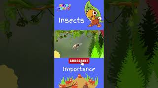 All About Insects For Kids  Importance of Insects  What are Insects   biologylesson [upl. by Ylra437]