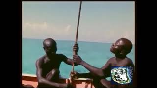 2018  Indian Ocean  North Sentinel Island  The Most Isolated Stone Age Tribe in the World  2311 [upl. by Aala]