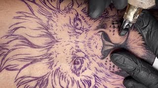 Lion tattoo  Time lapse [upl. by Scarito]