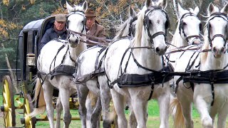 Caballos Argentinos TV  Carruajes  Prudencio Hernandez  Rodolfo Poliszczuk [upl. by Linson]