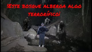 El bosque del ser oscuro con un nuevo integrante ¿habrá aguantado esta exploración de terror [upl. by Kcirddec442]