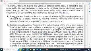 432 Branched chain amino acid catabolism and maple disease 2 [upl. by Ykcul]