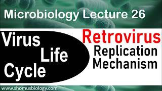 Retrovirus replication  virus life cycle [upl. by Frederiksen166]