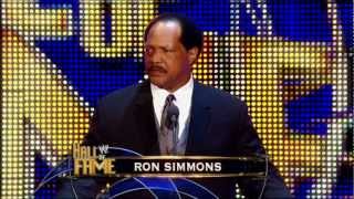 2012 WWE Hall of Fame ceremony highlights  April 2 2012 [upl. by Naxela65]