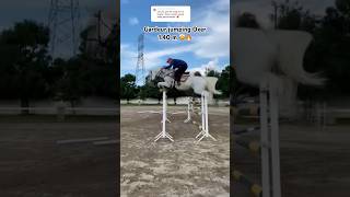 Impressive jump by Gardeur 🤩🐴🔥 gilaryeq equestrian showjumping horseriding fyp horse fy [upl. by Uriiah186]