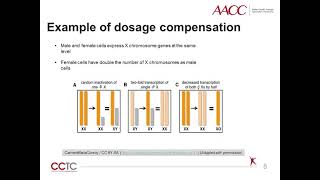 Gene Dosage Analysis [upl. by Ilecara]