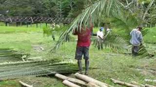 Thatched palm roof  Macedonia Amazonas Colombia [upl. by Bick]