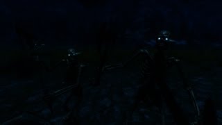 Skeletons of Daggerfall  Skyrim Audio Mod [upl. by Akcemat]