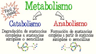 🍔¿Qué es el Metabolismo Catabolismo y Anabolismo diferencias Fácil y Rápido  BIOLOGÍA  QUÍMICA [upl. by Cosimo]