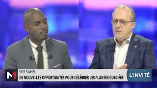 Zoom sur SOS Sahel amp les plantes oubliées avec Rémi Hémeryck [upl. by Rudyard864]