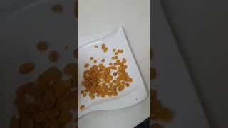 Funsnax customer lament quantity found in a 4500 naira worth of 50 sachets of cornflakes [upl. by Nnyroc]