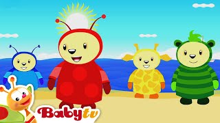 Lots of Colours 🎨  The Picaro Show  BabyTV [upl. by Ylrehs]