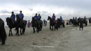 400 friese paarden op strand Callantsoog [upl. by Ahseuqal]