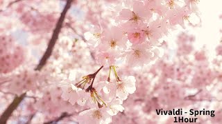 Vivaldi  Four Seasons Spring 1Hour Classic [upl. by Nilknarf]