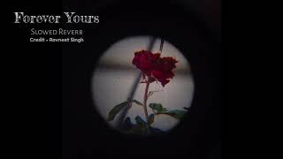 Forever Yours ❤️🥀  Slowed Reverb Song  Ravneet Singh  Latest Punjabi Song 2023 [upl. by Ensign869]