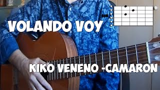 Volando voy  KIKO VENENO  CAMARÓN Versión fácil [upl. by Enived]