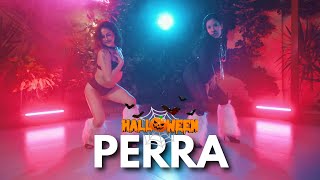 Perra  J Balvin Ft Tokischa  🎃 HALLOWEEN WORKSHOP HEELS x SHANNTALE Y TATI 🐺⛓️  SexyPower [upl. by Eatnad]