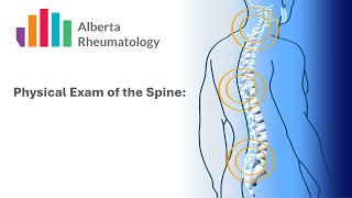 Rheumatology BACK Physical Exam FULL EXAM [upl. by Anabal479]