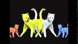 Purina Cat Chow Song Commercial [upl. by Enrico416]