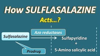 How Sulfasalazine acts  A sulfonamide with unique action [upl. by Schnell148]