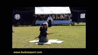 Sekiguchi Ryu Iai  Demonstration Meiji Jingu 2010  Iaijutsu  Battodo [upl. by Immanuel847]