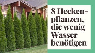 8 Heckenpflanzen die wenig Wasser benötigen [upl. by Gable8]