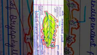 Biology figure of class 10 ncert biology drawing sketch art artist shorts [upl. by Dadirac]