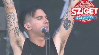 AntiFlag Live  This Machine Kills Fascists  Sziget 2014 [upl. by Ias]