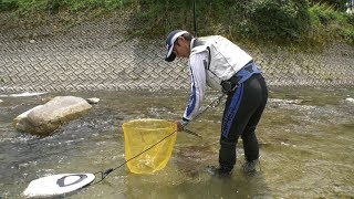 295 飛騨高山に夏を告げる友釣り～愛しき鮎を誘う頂点の技～ [upl. by Almira]