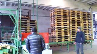 Riparazione pallets e Impilaggio [upl. by Athalia71]