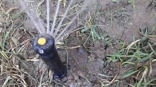 Rain Bird 12SA Sprinkler Head StartupShutdown [upl. by Namolos407]