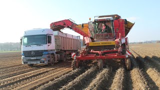 Arrachage de pomme de terre XXL GRIMME TECTRON 415  FENDT 939 [upl. by Noside]