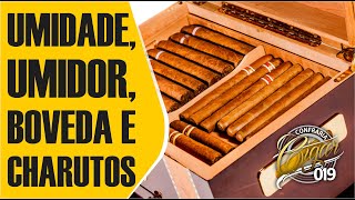 Dicas da CIGAR 019  CHARUTOS UMIDADE BOVEDA E CAIXA UMIDORA POR ONDE DEVO COMEÇAR [upl. by Saylor]