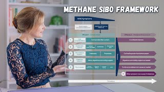 Methane SIBO Treatment Best Natural Protocols [upl. by Golter]