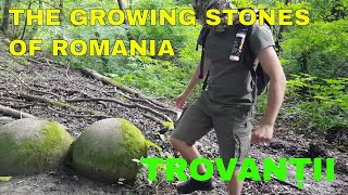 The Mysterious Growing Stones of Romania  Dealul Feleacului [upl. by Dulcinea]