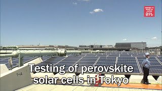 Testing of perovskite solar cells in Tokyo [upl. by Eirotal]