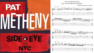 Pat Metheny Guitar Licks from quotSideEye NYC V1IVquot [upl. by Veda636]