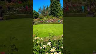 Rose Garden Butchart gardens  Watch full tour at Gillan Travels shorts canada rose garden [upl. by Betti882]