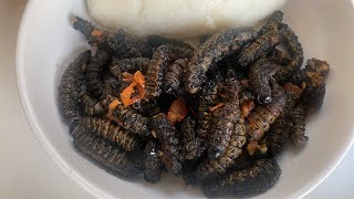 Let’s cook Mopane 🐛 worms MasonjaMadoraphaneMacimbi [upl. by Kciredor]