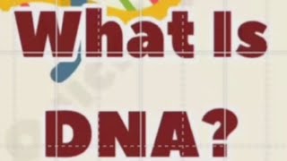 what is DNA  DNA Replication  DNA test kaise hota hai  DNA Replication Class12  DNA Biology Base [upl. by Nennahs840]