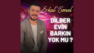 Dilber Evin Barkın Yok Mu [upl. by Yelsnik]