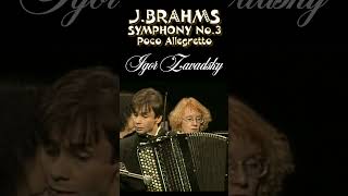 JBrahms  Symphony №3 Poco Allegretto 47 Zavadsky brahms accordion symphonymusic orchestra [upl. by Kathrine]