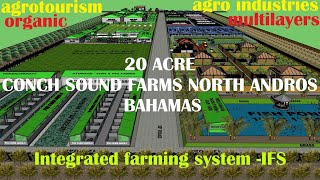 20 ACRE CONCH SOUND FARM NORTH ANDROS BAHAMAS 3D MODEL BY MohammedOrganic ifsagrotourism oganic [upl. by Xonnel]