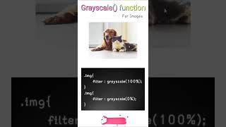 Grayscale Function in CSS css shorts coding programming trending developer [upl. by Lokcin]